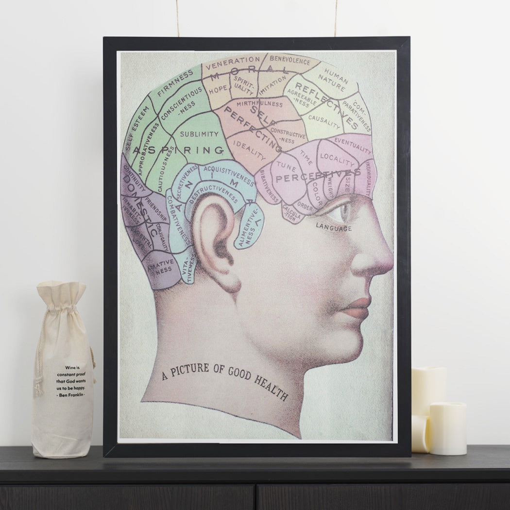 Decorative Paper - Brain
