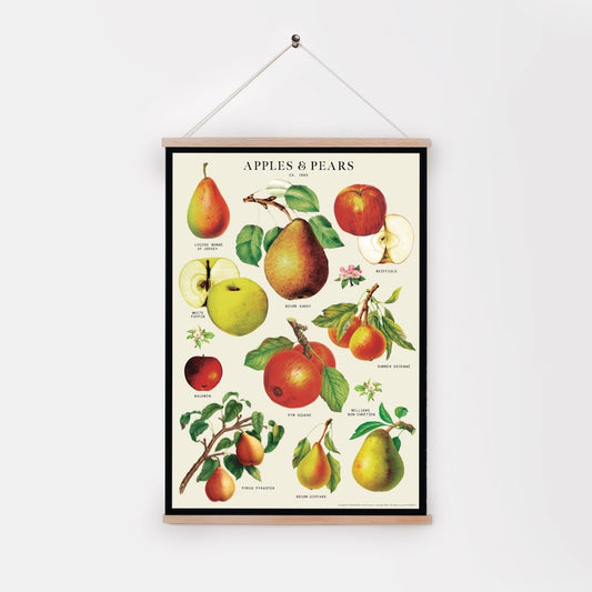 Decorative Paper - Apples and Pears