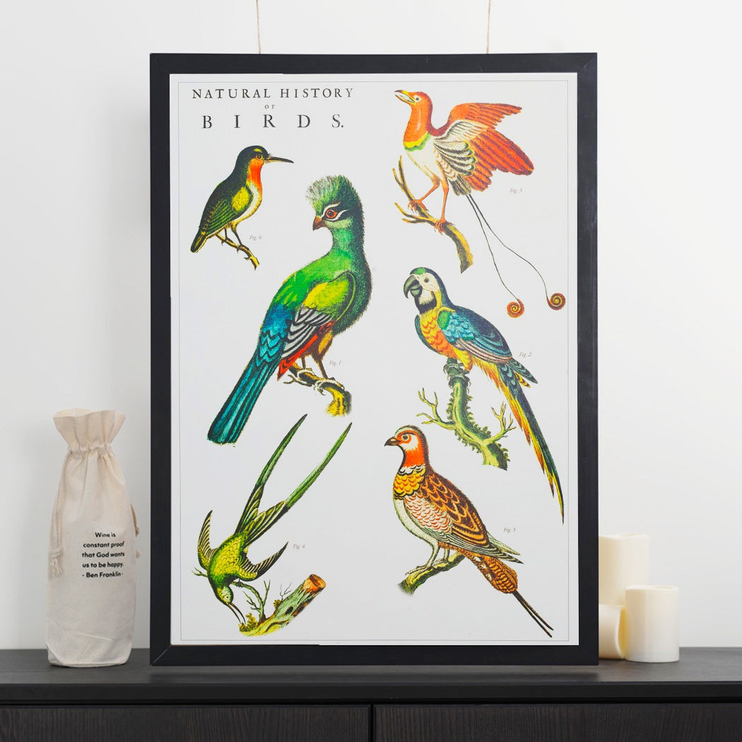 Decorative Paper - Birds