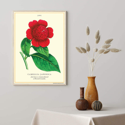 Decorative Paper - Camellia