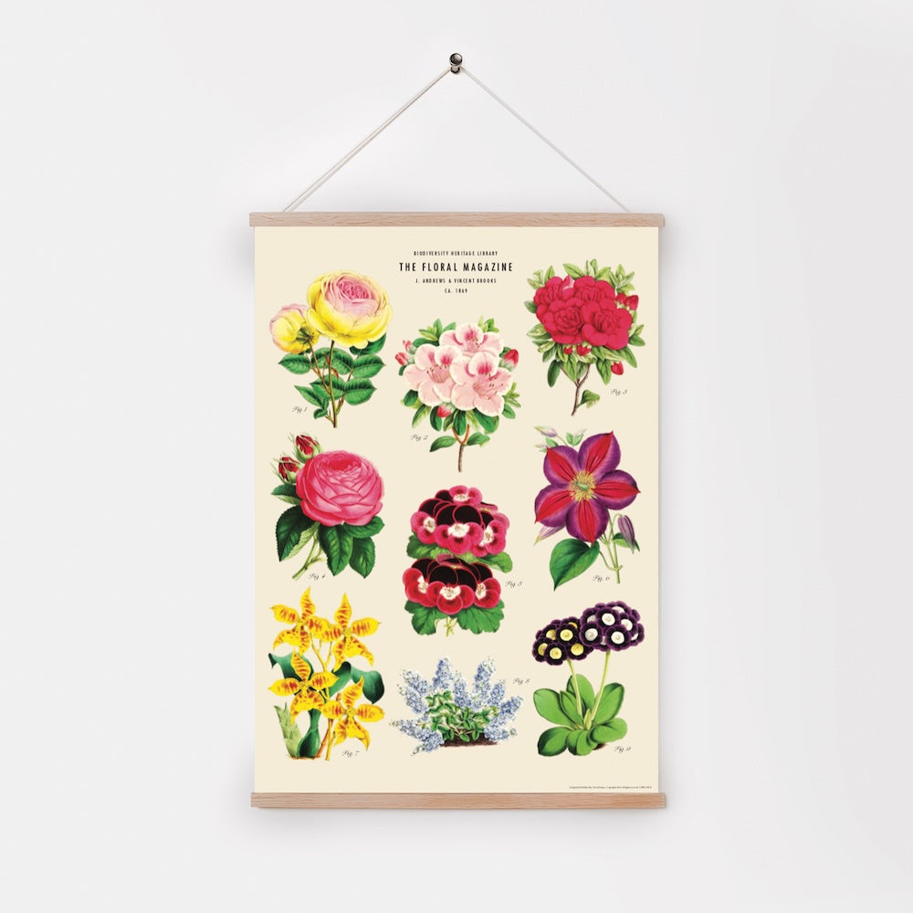 Decorative Paper - Flower Ensemble