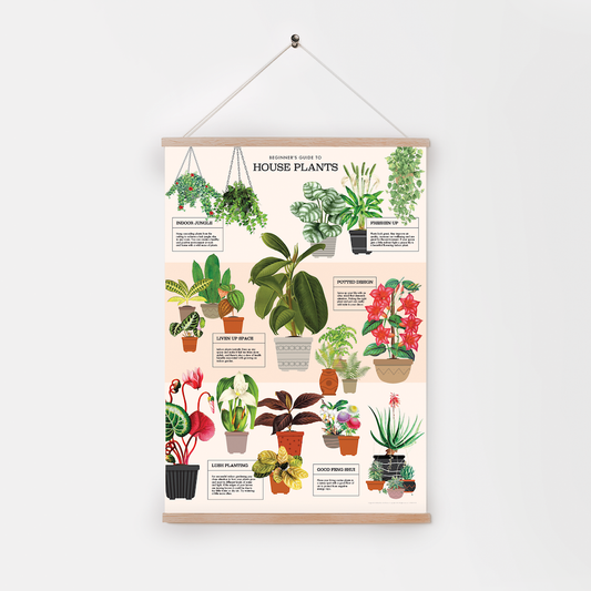 Decorative Paper - House Plants