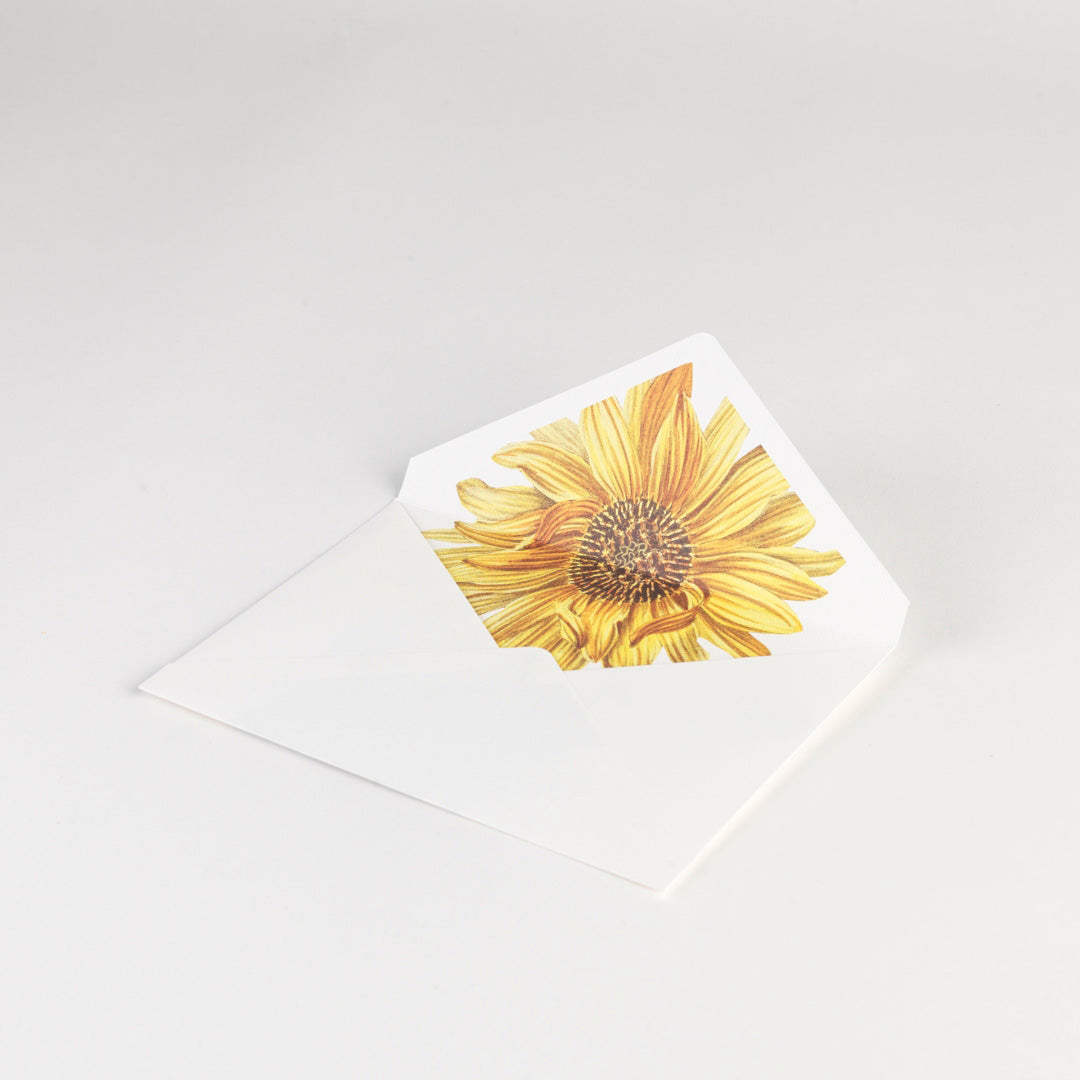 Boxed Note Cards - Sunflower - Set of 20
