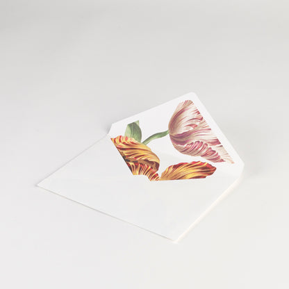 Boxed Note Cards - Tulip - Set of 20