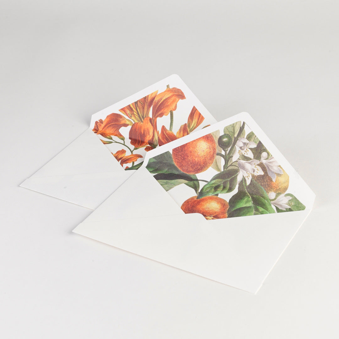 Boxed Note Cards - Lilly - Set of 20