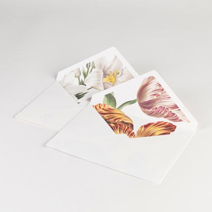 Boxed Note Cards - Tulip - Set of 20