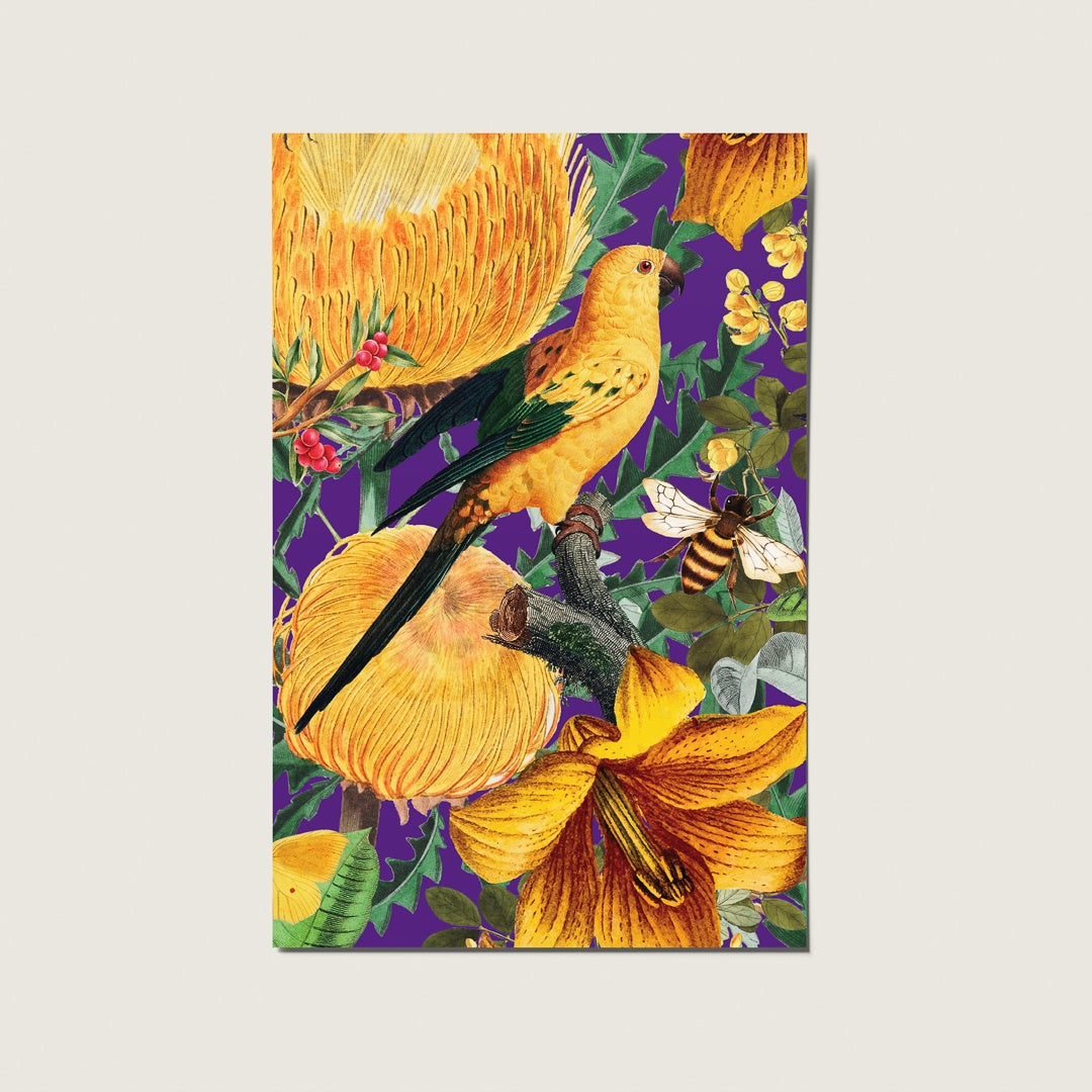 Postcard - Birds & Bees